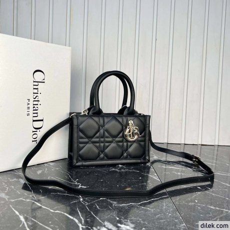 Dior Mini Book Tote