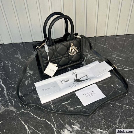 Dior Mini Book Tote