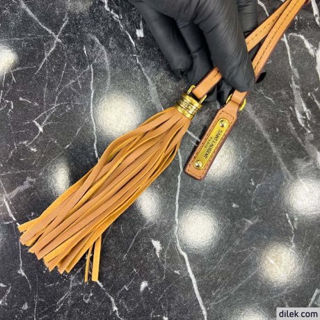 Saint Laurent Lou Camera Bag