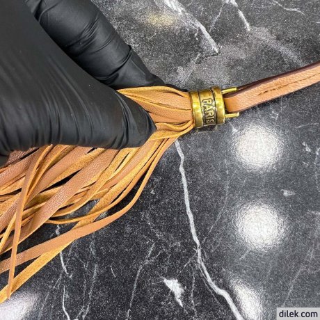 Saint Laurent Lou Camera Bag