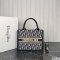 Dior Small Book Tote