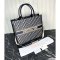 Dior Large Book Tote