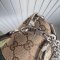 Gucci Horsebit Chain Medium Shoulder Bag