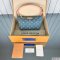 Louis Vuitton Hills Pochette Monogram Denim
