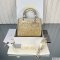 Medium Lady Dior My ABCDior Bag
