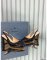 Prada Pumps