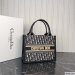 Dior Small Book Tote