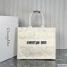 Dior Large Book Tote