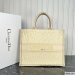 Dior Large Book Tote
