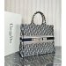 Dior Large Book Tote