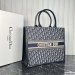 Dior Large Book Tote