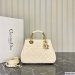 Dior The Lady 95.22 Small Bag
