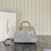 Dior The Lady 95.22 Small Bag