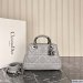 Dior The Lady 95.22 Small Bag