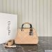 Dior The Lady 95.22 Small Bag