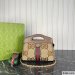 Gucci Ophidia GG Bag