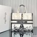 Dior Large Book Tote