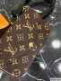 Louis Vuitton Felicie Strap & Go