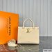 Louis Vuitton Lock & Go