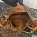 Louis Vuitton Loop Hobo Monogram
