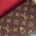 Louis Vuitton Felicie Pochette