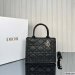 Dior Small Book Tote