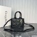 Dior Mini Book Tote